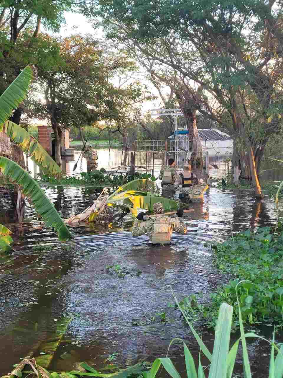 Um é preso e armas são apreendidas em operação da PF contra caça ilegal de onças no Pantanal