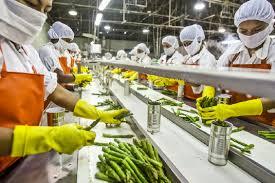 A Industria brasileira de alimentos tem crescimento importante