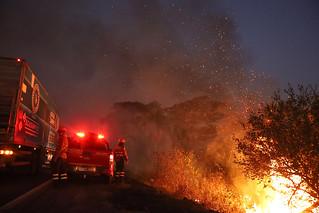 Incendiário é levado para delegacia após atear fogo em terreno baldio