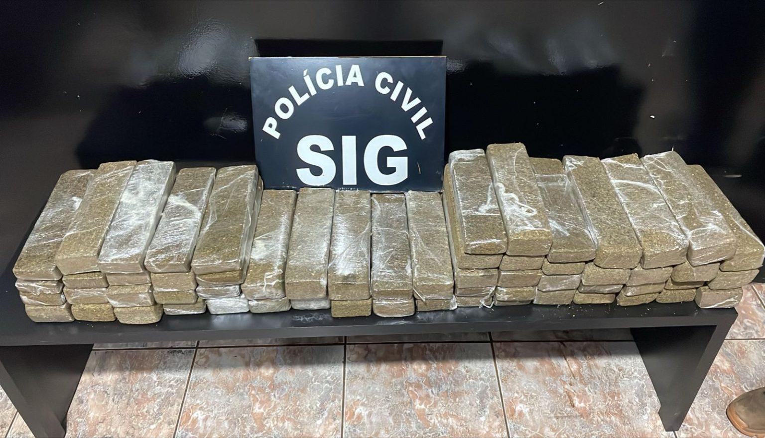 Polícia Civil apreendeu 44 quilos e maconha e prendeu traficantes