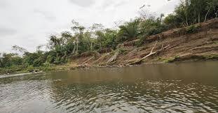 Pantanal pode enfrentar pior crise hídrica dos últimos 124 anos sem chuvas