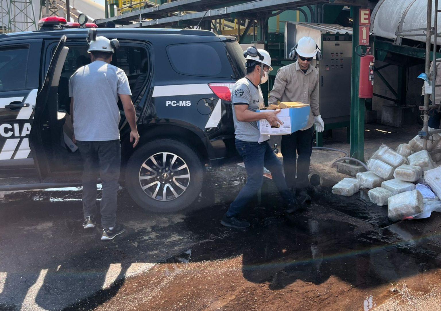 Polícia Civil incinera 300 quilos de drogas apreendidas