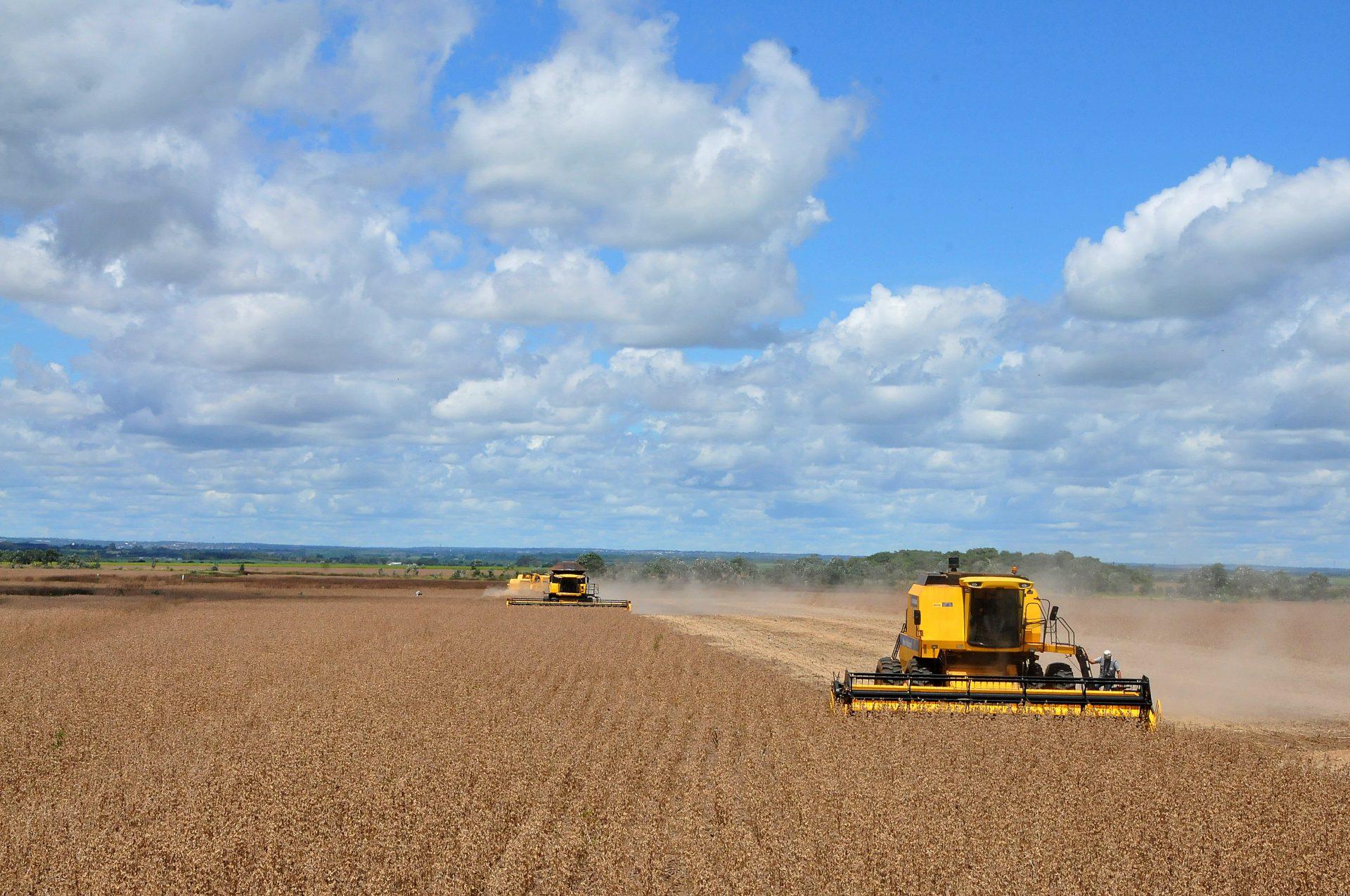 Com retorno das chuvas agricultores de MS aceleram plantio de soja