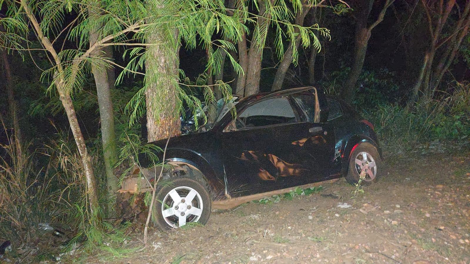 Homem sai da pista ao atropelar uma capivara, bate em árvore e morre na Br 262