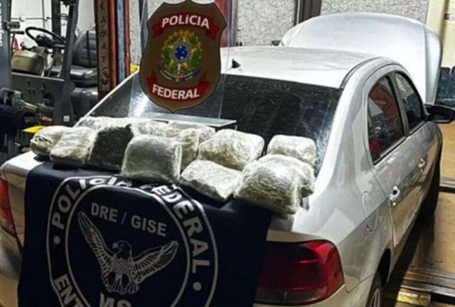 Polícia Federal apreendeu 8,5 quilos de skunk, droga conhecida como a ‘supermaconha’