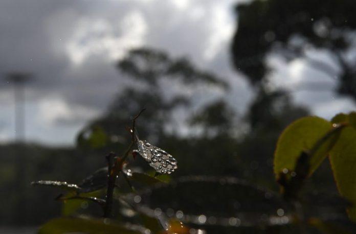 Semana começa com alertas de tempestade em Mato Grosso do Sul