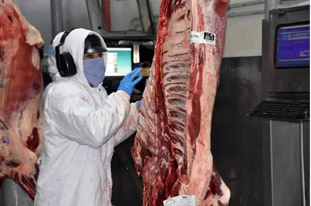 MS lidera exportações impulsionado por soja, celulose e carne bovina