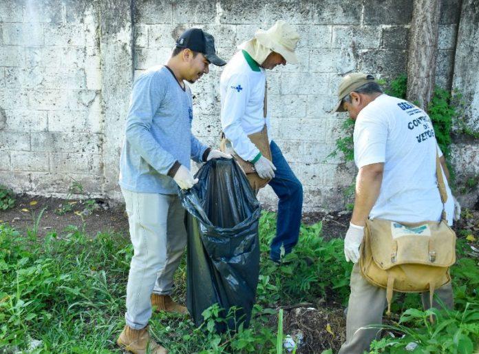 Mato Grosso do Sul registra mais de 16 mil casos confirmados de dengue