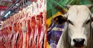 Brasil bate recorde de exportação de carne bovina e de frango em 2024